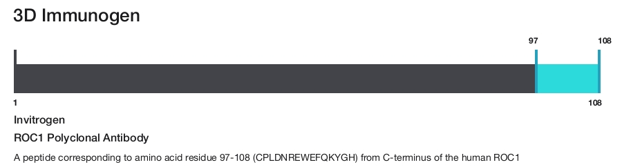 ROC1 Polyclonal Antibody