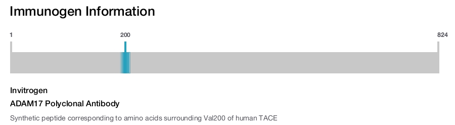 ADAM17 Polyclonal Antibody