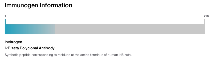 IkB zeta Polyclonal Antibody