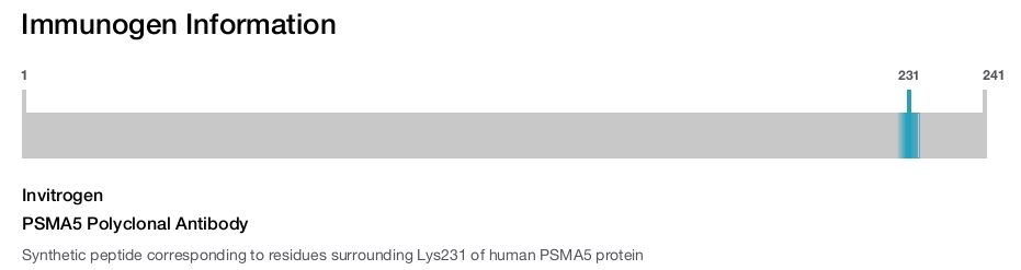 PSMA5 Polyclonal Antibody