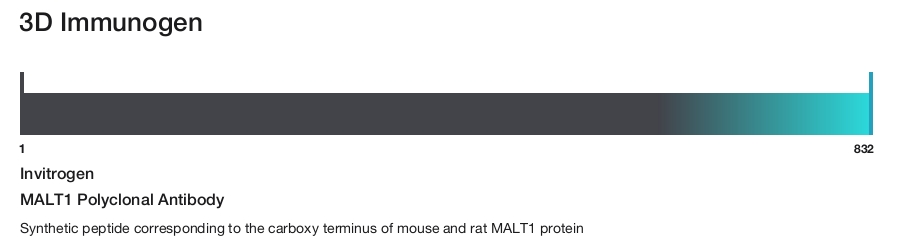 MALT1 Polyclonal Antibody