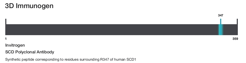 SCD Polyclonal Antibody