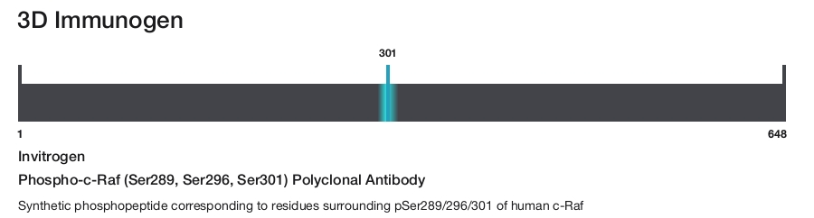 Phospho-c-Raf (Ser289, Ser296, Ser301) Polyclonal Antibody