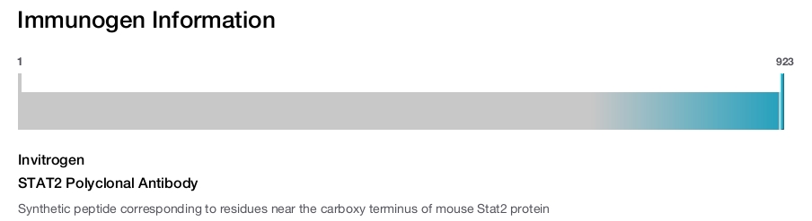 STAT2 Polyclonal Antibody