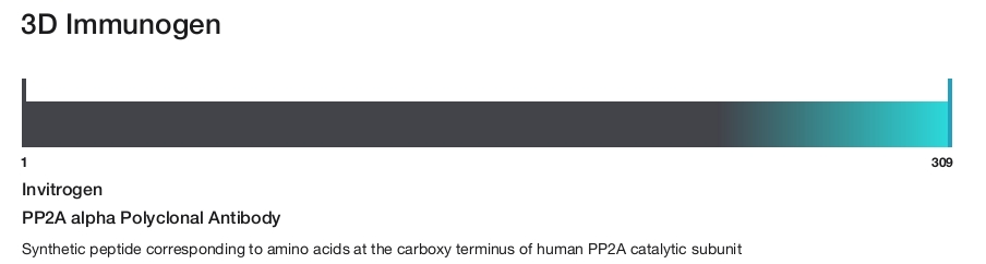 PP2A alpha Polyclonal Antibody