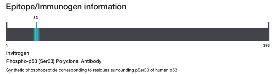Phospho-p53 (Ser33) Polyclonal Antibody