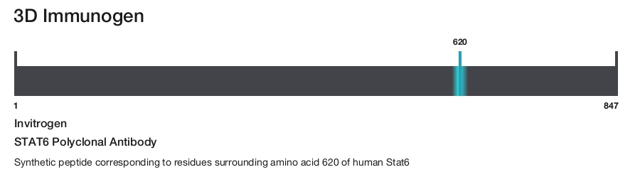 STAT6 Polyclonal Antibody