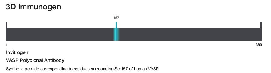 VASP Polyclonal Antibody