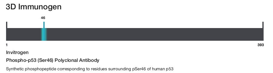 Phospho-p53 (Ser46) Polyclonal Antibody