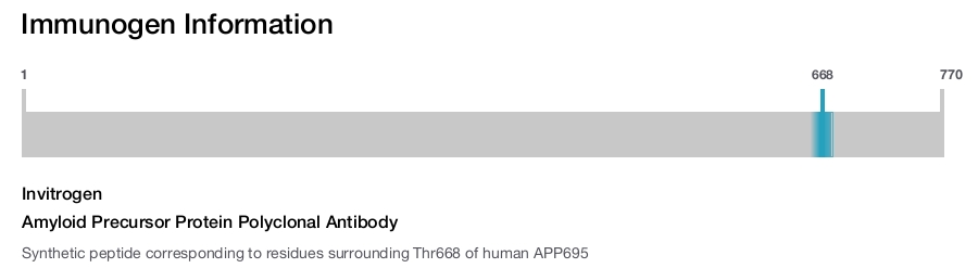 Amyloid Precursor Protein Polyclonal Antibody