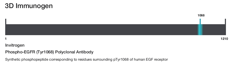 Phospho-EGFR (Tyr1068) Polyclonal Antibody