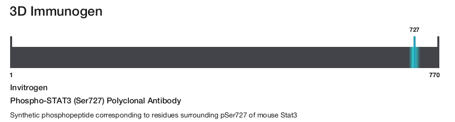 Phospho-STAT3 (Ser727) Polyclonal Antibody