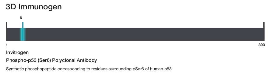 Phospho-p53 (Ser6) Polyclonal Antibody