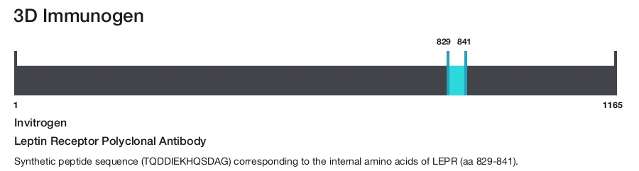 Leptin Receptor Polyclonal Antibody