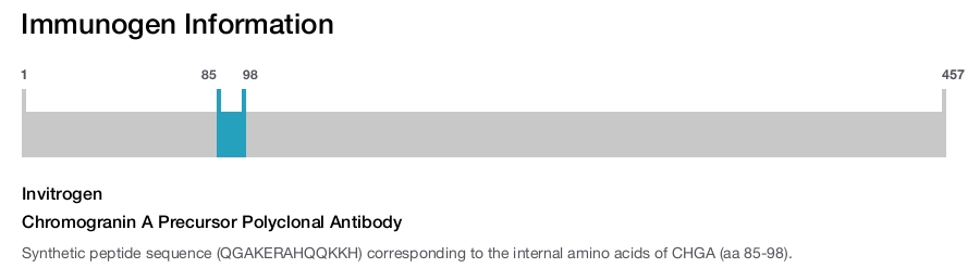 Chromogranin A Precursor Polyclonal Antibody