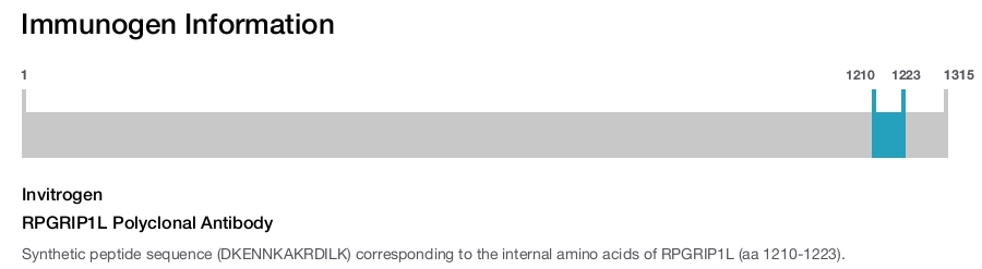 RPGRIP1L Polyclonal Antibody