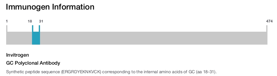 GC Polyclonal Antibody