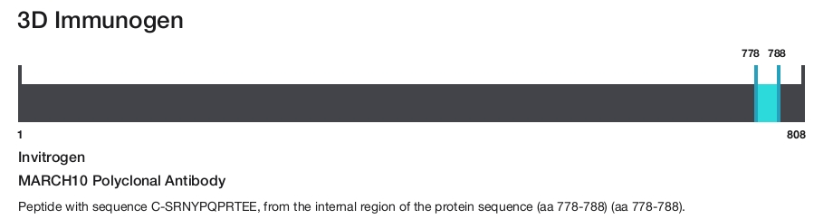 MARCH10 Polyclonal Antibody