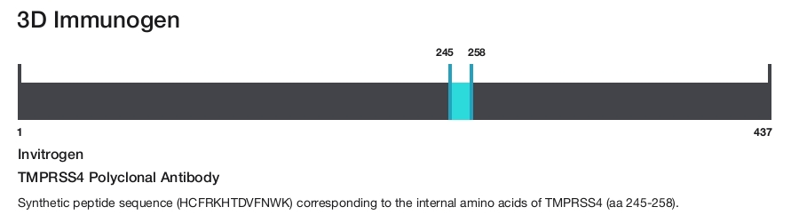 TMPRSS4 Polyclonal Antibody