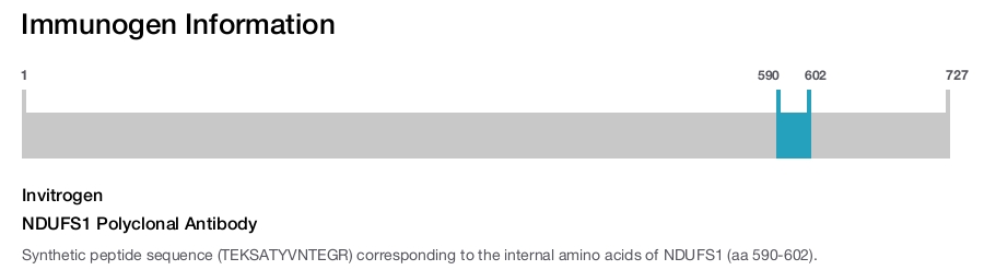 NDUFS1 Polyclonal Antibody
