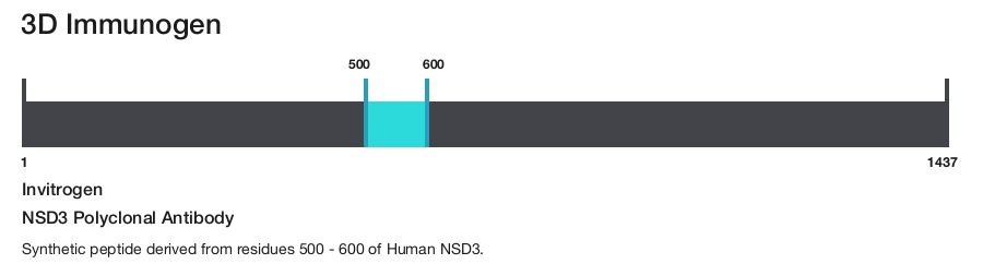 NSD3 Polyclonal Antibody