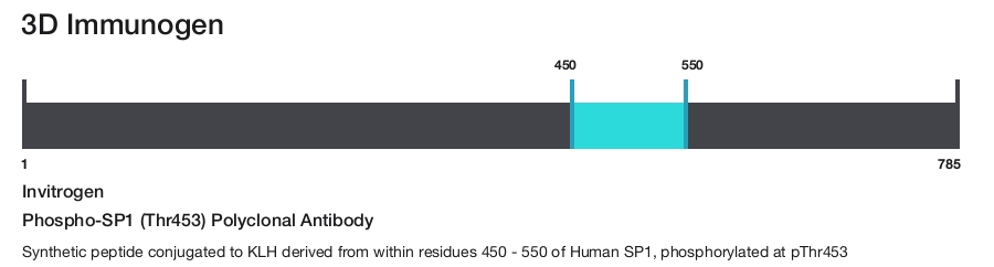 Phospho-SP1 (Thr453) Polyclonal Antibody
