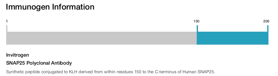SNAP25 Polyclonal Antibody