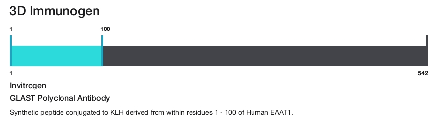 GLAST Polyclonal Antibody