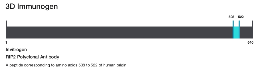 RIP2 Polyclonal Antibody