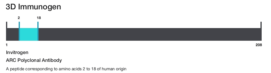 ARC Polyclonal Antibody