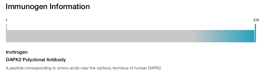 DAPK2 Polyclonal Antibody