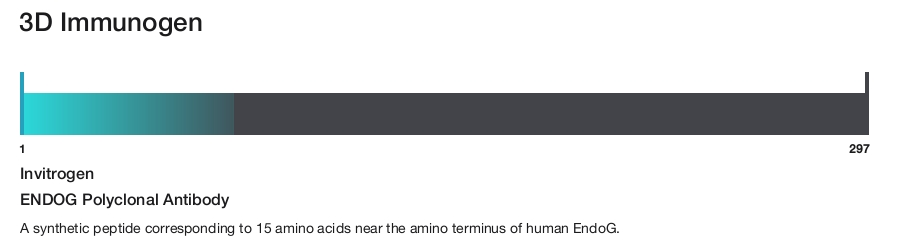 ENDOG Polyclonal Antibody