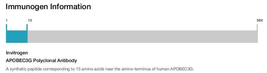 APOBEC3G Polyclonal Antibody