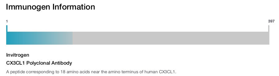 CX3CL1 Polyclonal Antibody