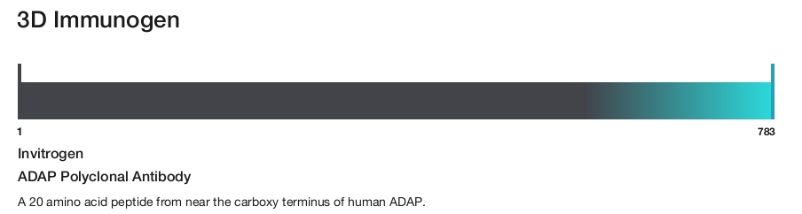 ADAP Polyclonal Antibody