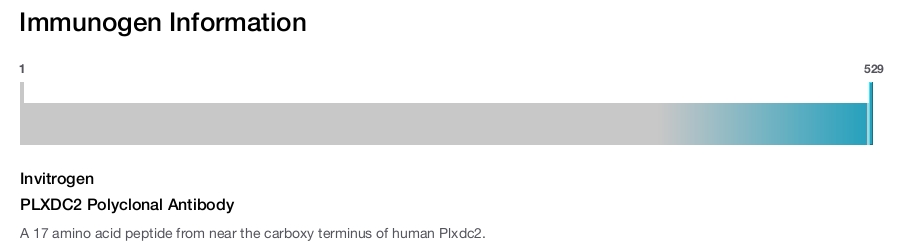 PLXDC2 Polyclonal Antibody