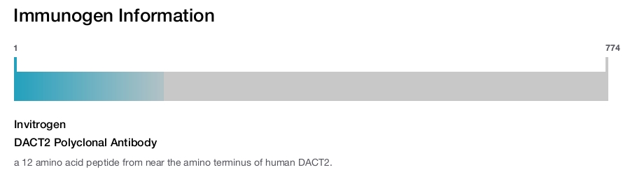 DACT2 Polyclonal Antibody