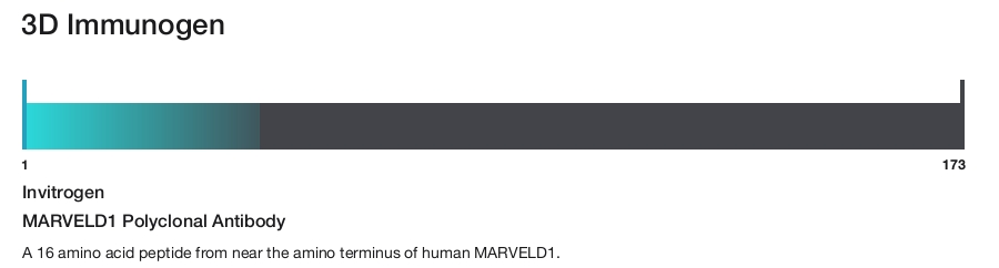 MARVELD1 Polyclonal Antibody