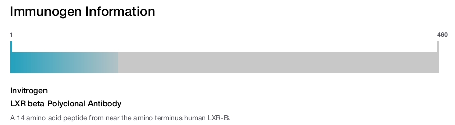 LXR beta Polyclonal Antibody