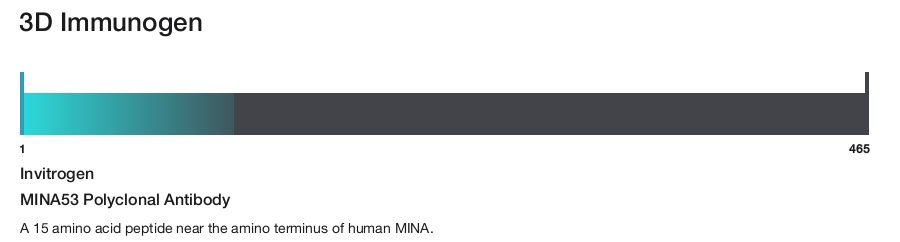 MINA53 Polyclonal Antibody