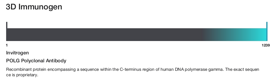 POLG Polyclonal Antibody