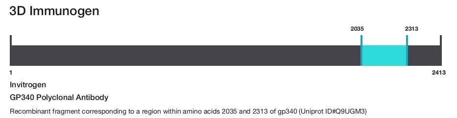 GP340 Polyclonal Antibody