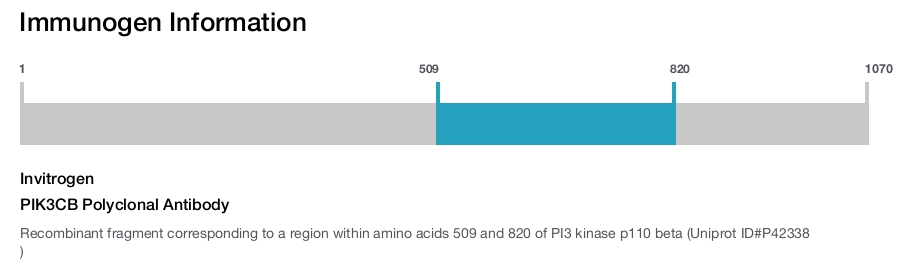 PIK3CB Polyclonal Antibody