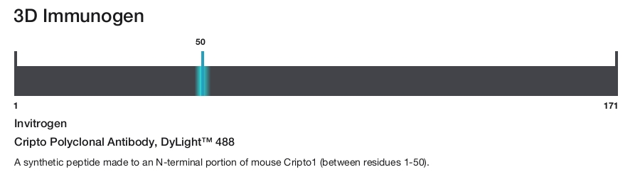 Cripto Polyclonal Antibody, DyLight&trade; 488