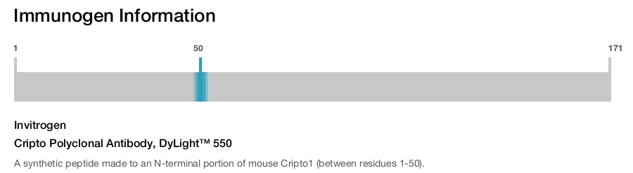 Cripto Polyclonal Antibody, DyLight&trade; 550