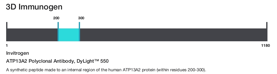 ATP13A2 Polyclonal Antibody, DyLight&trade; 550