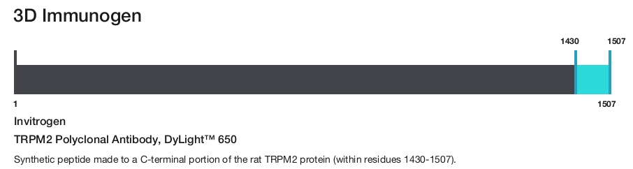 TRPM2 Polyclonal Antibody, DyLight&trade; 650