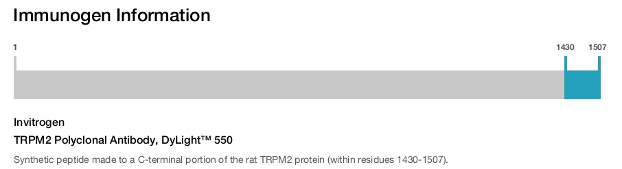 TRPM2 Polyclonal Antibody, DyLight&trade; 550