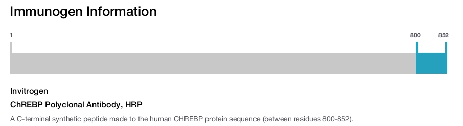 ChREBP Polyclonal Antibody, HRP