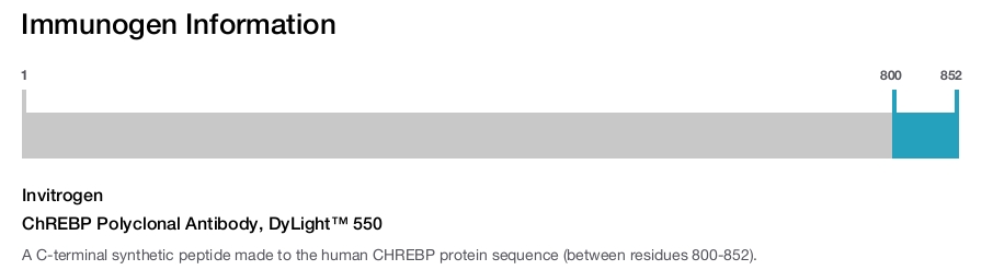 ChREBP Polyclonal Antibody, DyLight&trade; 550